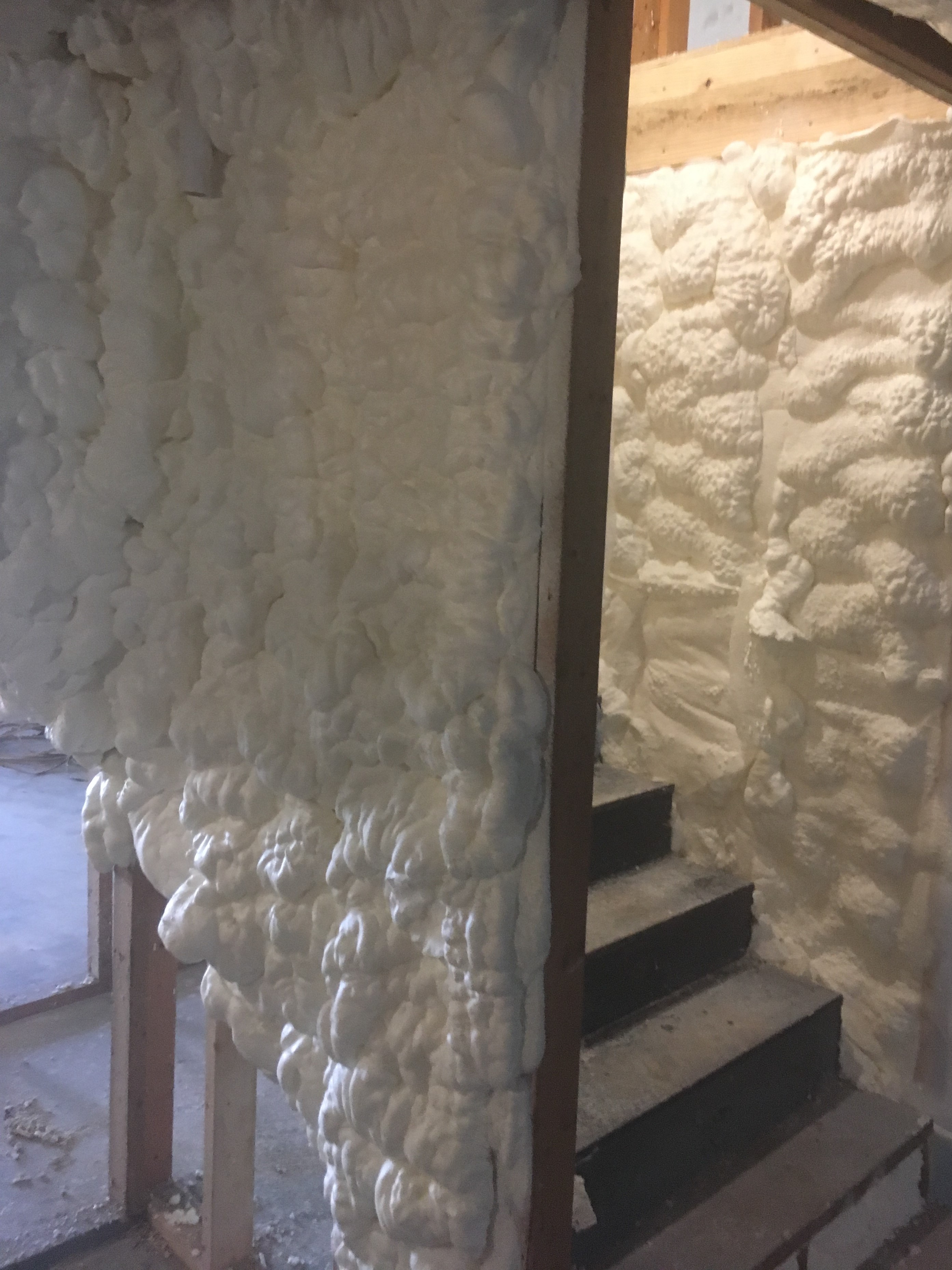spray foam insulated to prevent energy escaping