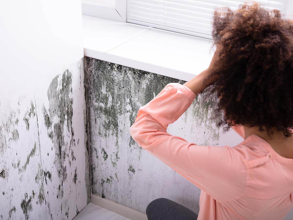 Discovering mold in a wet basement.