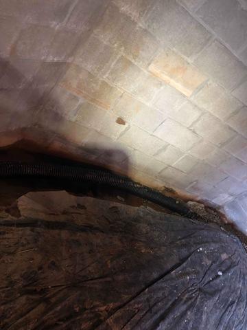 Damp & Moldy Crawlspace Renovation in Ripley, WV