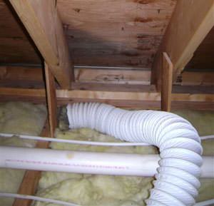 Moist air from a dryer vent has caused mold to grow on the roof sheathing