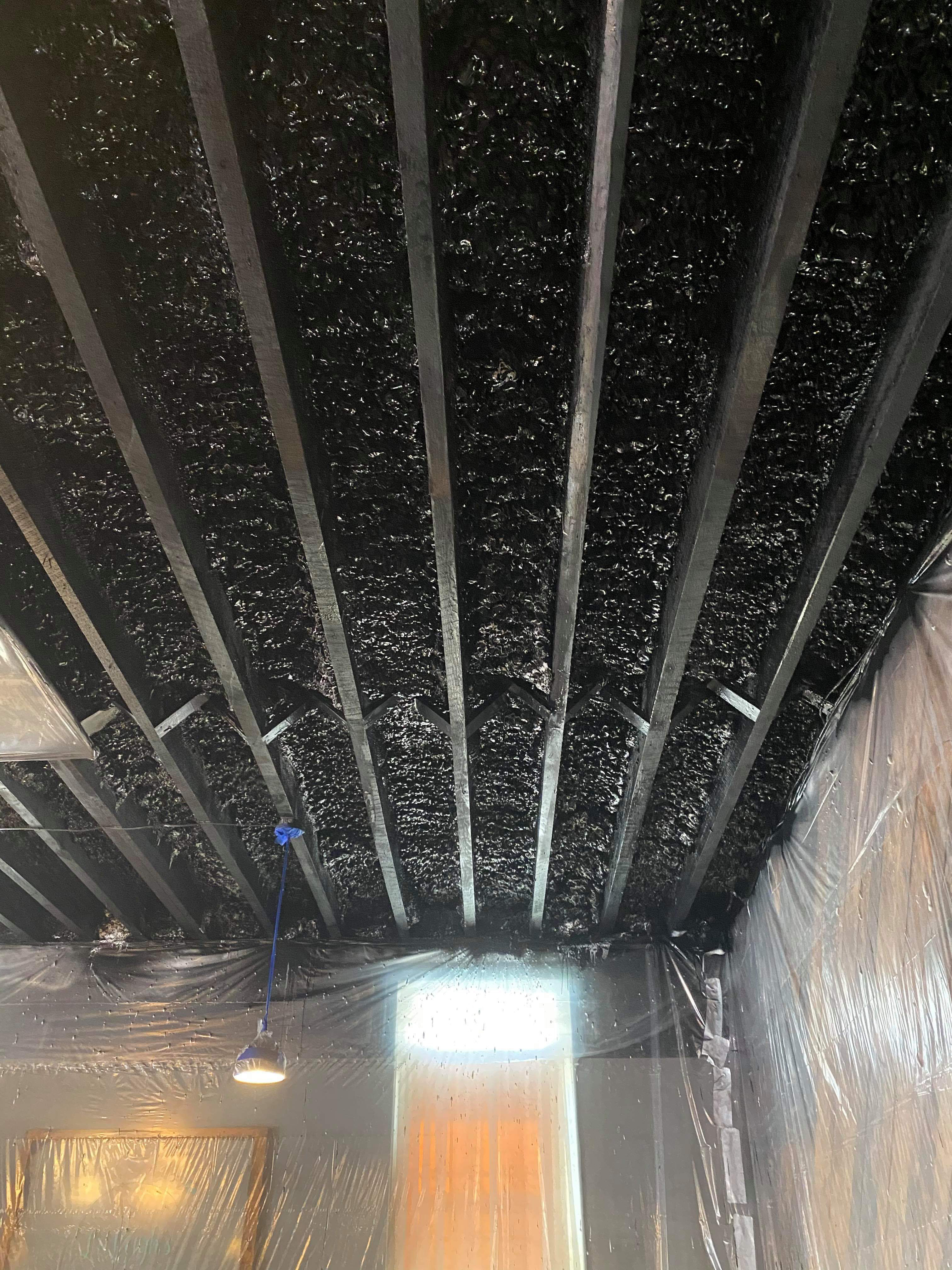 Painted sprayfoam insulation on ceiling